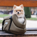 Spitz nain dans un sac de transport kaki sur un banc
