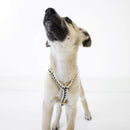 Harnais grill See scout Sleep