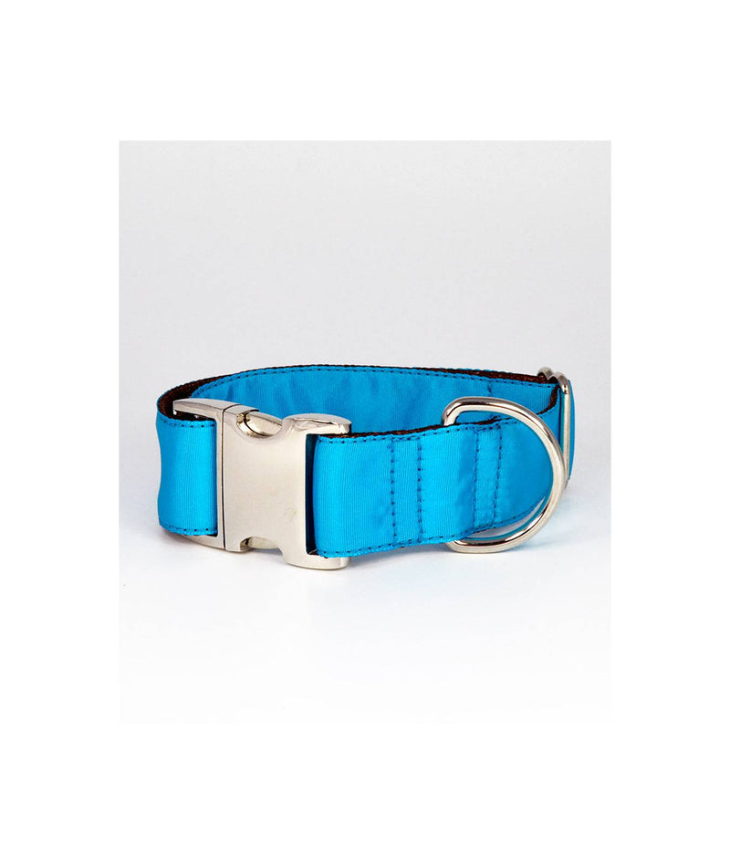 Collier pour chien Solid Turquoise