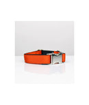 Ensemble Collier + laisse Solid Orange - Hariet et Rosie