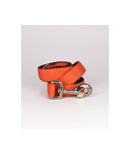 Laisse pour chien Solid orange