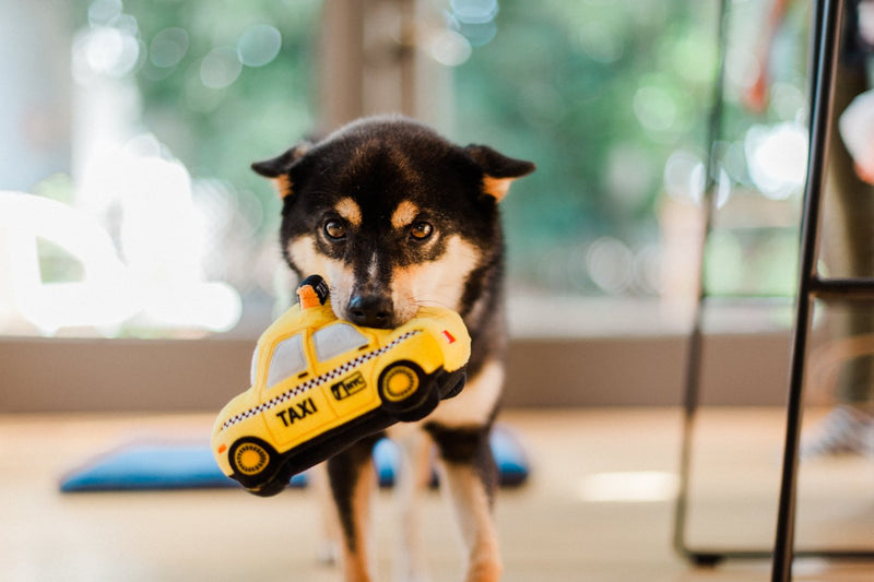 Peluche pour chien Taxi Jaune