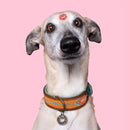 Collier en cuir Tiger Lily Dwam