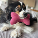 Jeu os pour chien en lin naturel