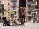 Laisse Urban Trail Dog Copenhagen [New]