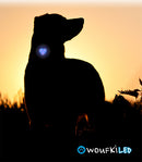 Woufki Led - Lumière de sécurité - Hariet et Rosie